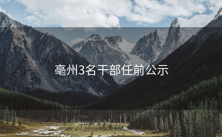 亳州3名干部任前公示