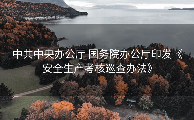 中共中央办公厅 国务院办公厅印发《安全生产考核巡查办法》