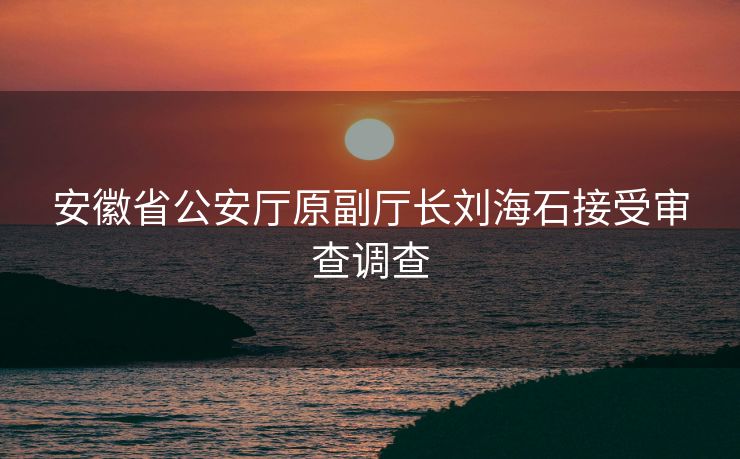 安徽省公安厅原副厅长刘海石接受审查调查
