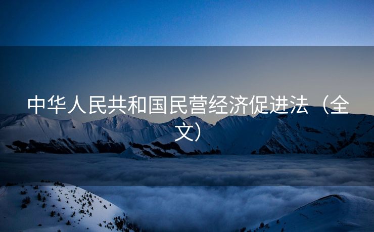 中华人民共和国民营经济促进法（全文）