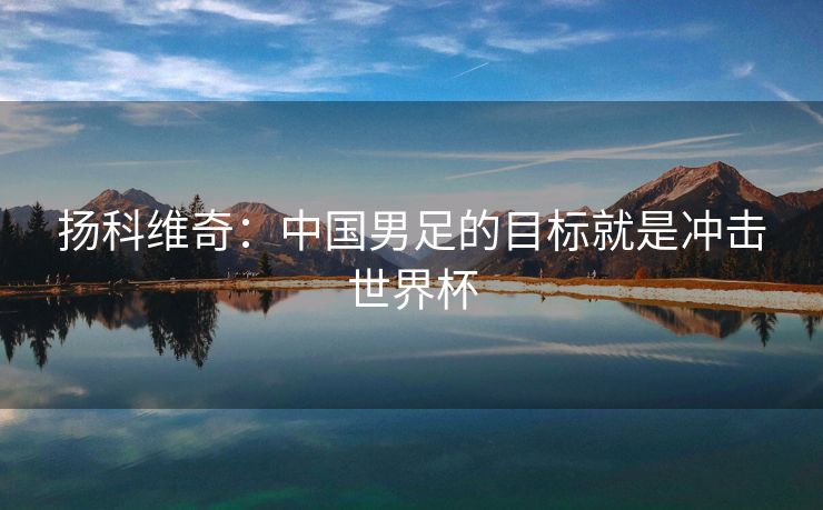 扬科维奇：中国男足的目标就是冲击世界杯
