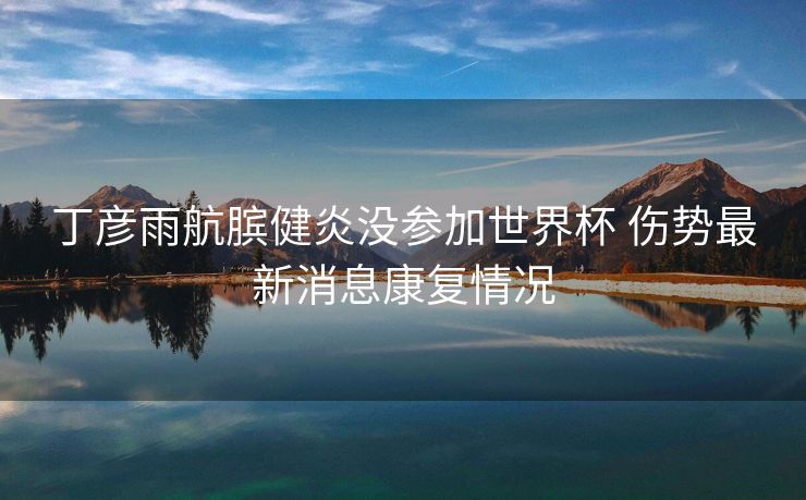 丁彦雨航膑健炎没参加世界杯 伤势最新消息康复情况