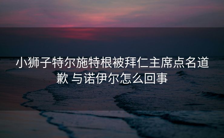 小狮子特尔施特根被拜仁主席点名道歉 与诺伊尔怎么回事