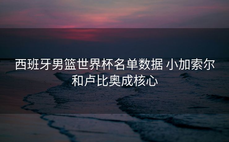 西班牙男篮世界杯名单数据 小加索尔和卢比奥成核心