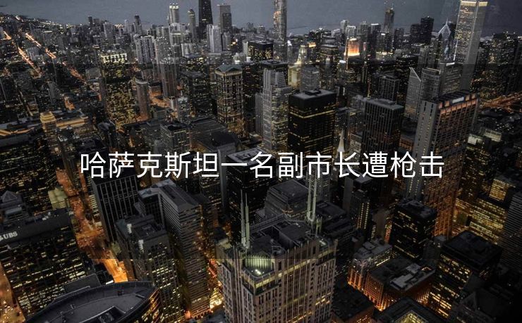 哈萨克斯坦一名副市长遭枪击