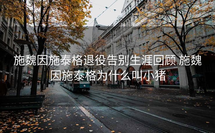 施魏因施泰格退役告别生涯回顾 施魏因施泰格为什么叫小猪