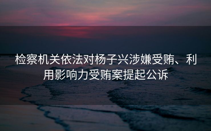 检察机关依法对杨子兴涉嫌受贿、利用影响力受贿案提起公诉
