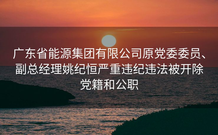 广东省能源集团有限公司原党委委员、副总经理姚纪恒严重违纪违法被开除党籍和公职