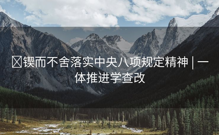 ​锲而不舍落实中央八项规定精神 | 一体推进学查改