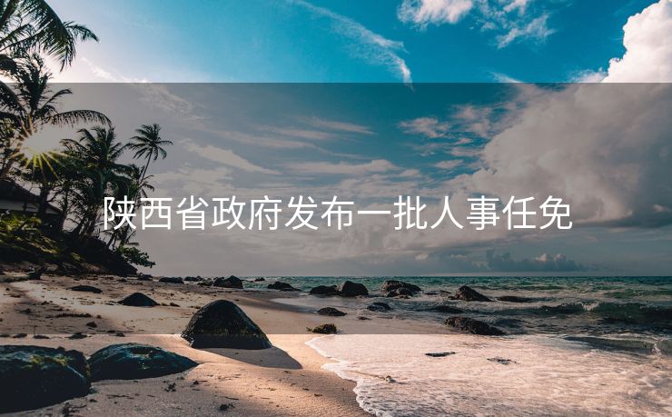 陕西省政府发布一批人事任免