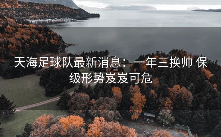 天海足球队最新消息：一年三换帅 保级形势岌岌可危