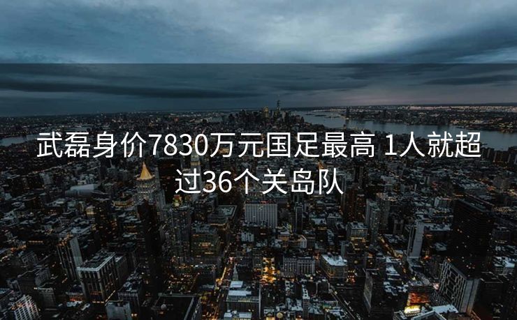 武磊身价7830万元国足最高 1人就超过36个关岛队