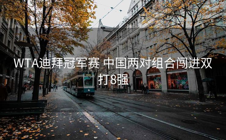 WTA迪拜冠军赛 中国两对组合闯进双打8强