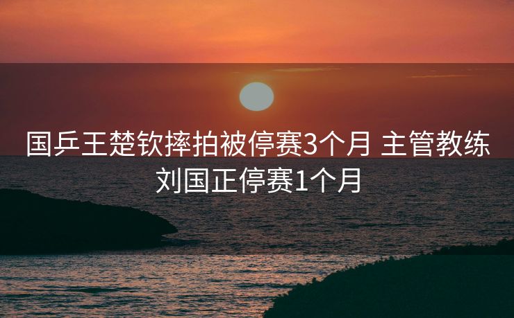 国乒王楚钦摔拍被停赛3个月 主管教练刘国正停赛1个月