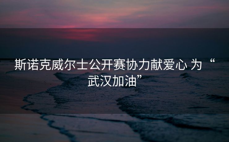 斯诺克威尔士公开赛协力献爱心 为“武汉加油”