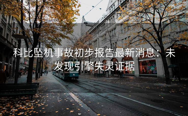 科比坠机事故初步报告最新消息：未发现引擎失灵证据