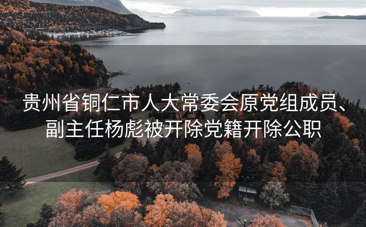贵州省铜仁市人大常委会原党组成员、副主任杨彪被开除党籍开除公职