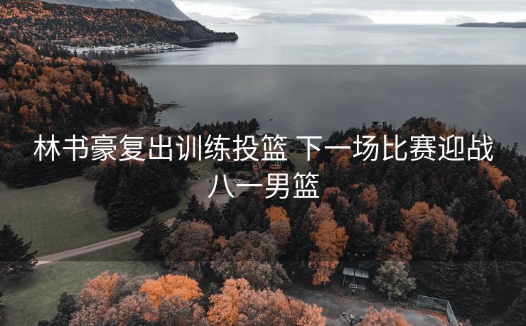 林书豪复出训练投篮 下一场比赛迎战八一男篮