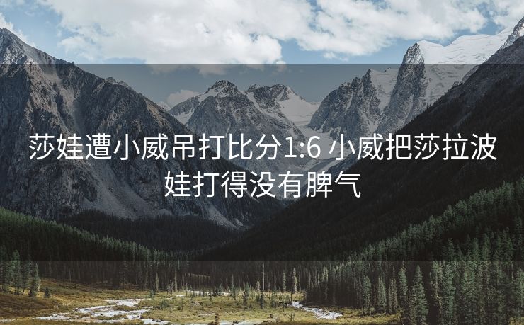 莎娃遭小威吊打比分1:6 小威把莎拉波娃打得没有脾气