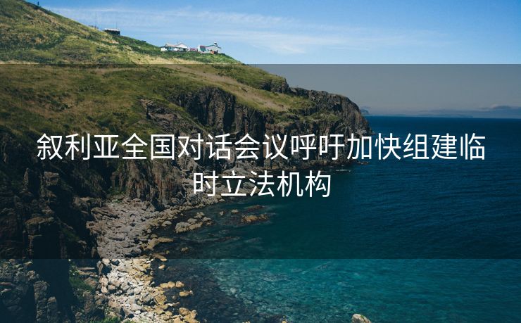 叙利亚全国对话会议呼吁加快组建临时立法机构