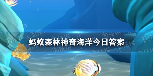 玻璃海绵与玳瑁还是俪虾共生？神奇海洋11月26日答案最新
