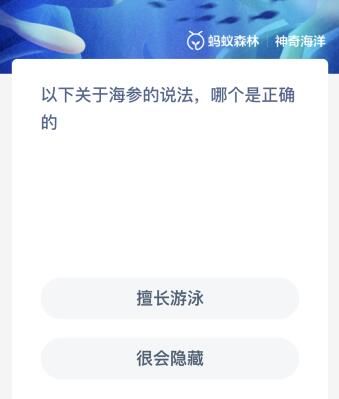 以下关于海参的说法哪个是正确的？神奇海洋12.1今日答案最新