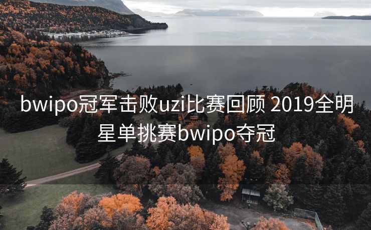 bwipo冠军击败uzi比赛回顾 2019全明星单挑赛bwipo夺冠