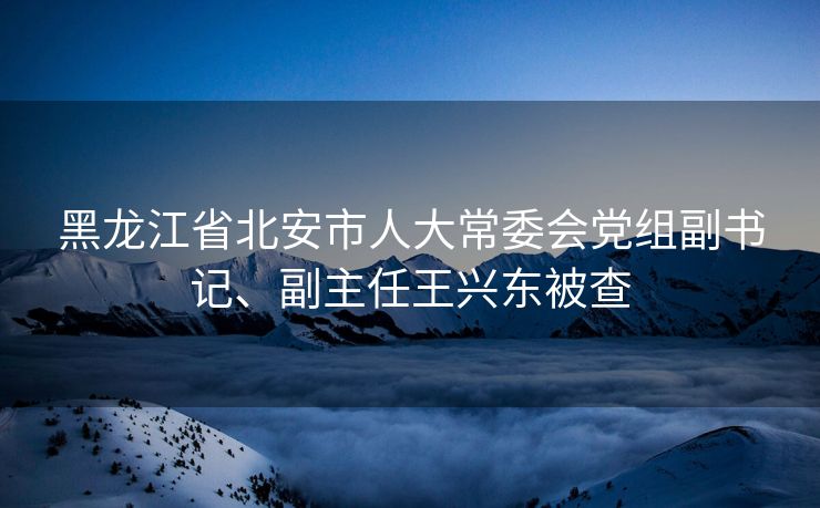 黑龙江省北安市人大常委会党组副书记、副主任王兴东被查