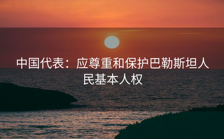 中国代表：应尊重和保护巴勒斯坦人民基本人权