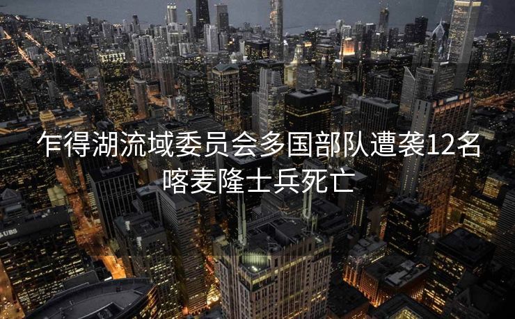乍得湖流域委员会多国部队遭袭12名喀麦隆士兵死亡