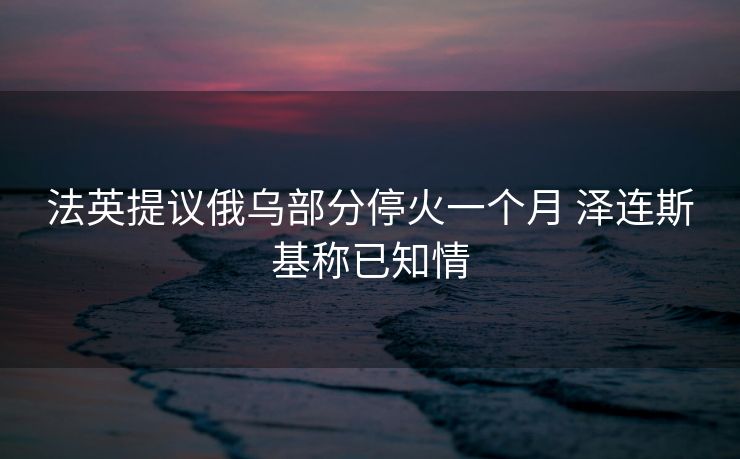 法英提议俄乌部分停火一个月 泽连斯基称已知情