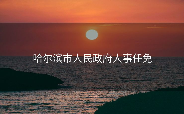哈尔滨市人民政府人事任免