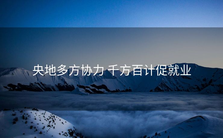 央地多方协力 千方百计促就业