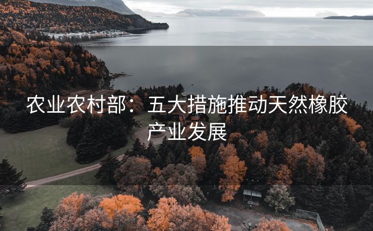 农业农村部：五大措施推动天然橡胶产业发展