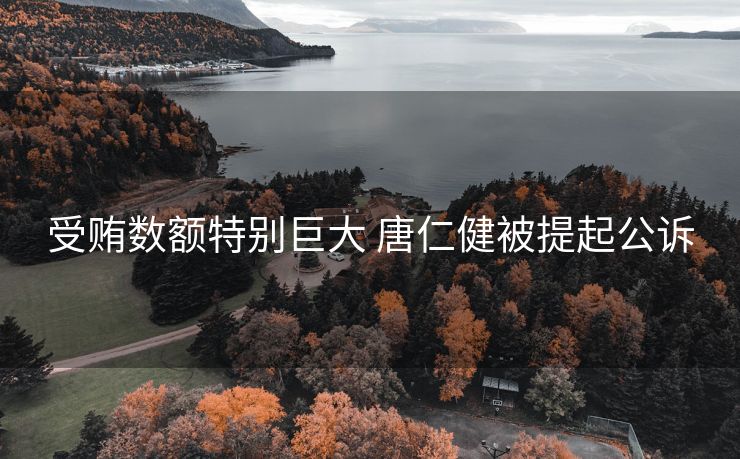 受贿数额特别巨大 唐仁健被提起公诉