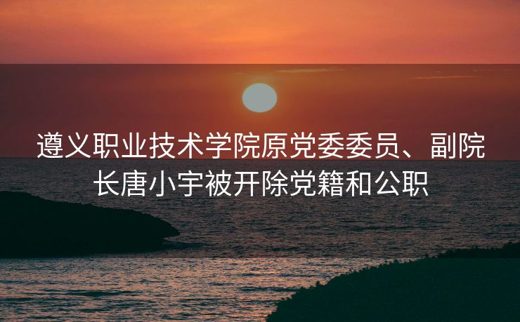 遵义职业技术学院原党委委员、副院长唐小宇被开除党籍和公职