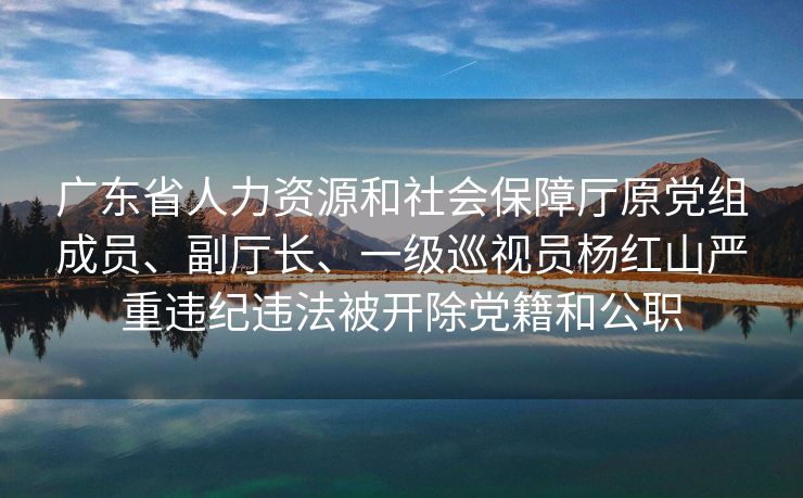 广东省人力资源和社会保障厅原党组成员、副厅长、一级巡视员杨红山严重违纪违法被开除党籍和公职