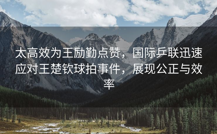 太高效为王励勤点赞，国际乒联迅速应对王楚钦球拍事件，展现公正与效率