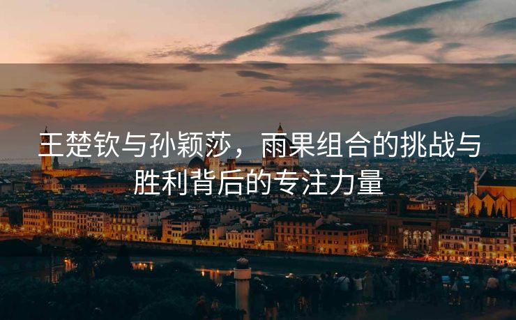 王楚钦与孙颖莎，雨果组合的挑战与胜利背后的专注力量