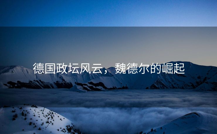 德国政坛风云，魏德尔的崛起