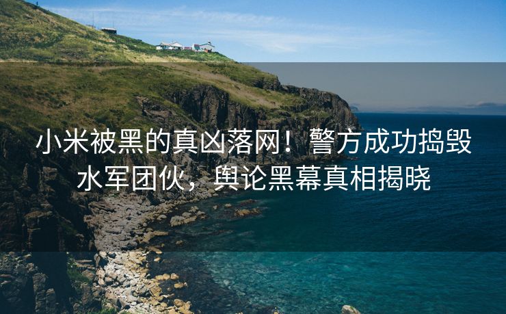小米被黑的真凶落网！警方成功捣毁水军团伙，舆论黑幕真相揭晓