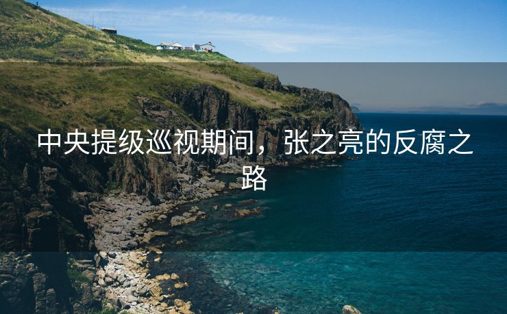 中央提级巡视期间，张之亮的反腐之路