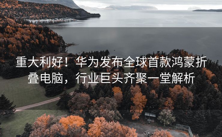 重大利好！华为发布全球首款鸿蒙折叠电脑，行业巨头齐聚一堂解析