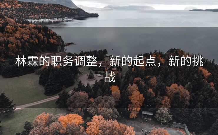 林霖的职务调整，新的起点，新的挑战