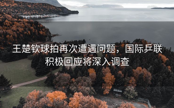 王楚钦球拍再次遭遇问题，国际乒联积极回应将深入调查