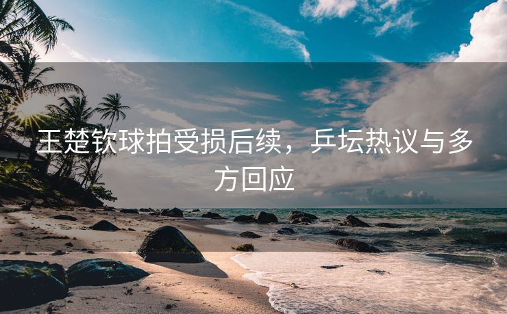 王楚钦球拍受损后续，乒坛热议与多方回应