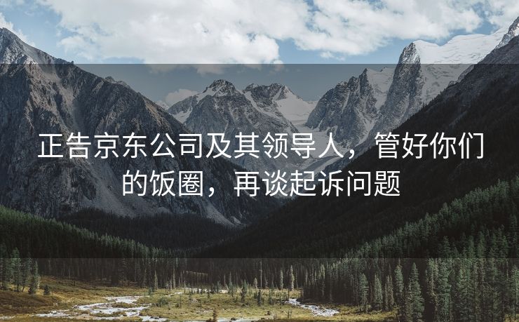 正告京东公司及其领导人，管好你们的饭圈，再谈起诉问题