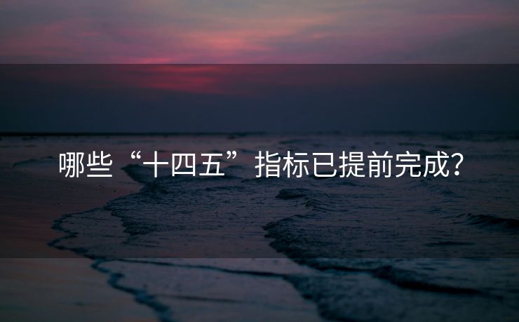 哪些“十四五”指标已提前完成？