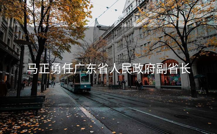 马正勇任广东省人民政府副省长