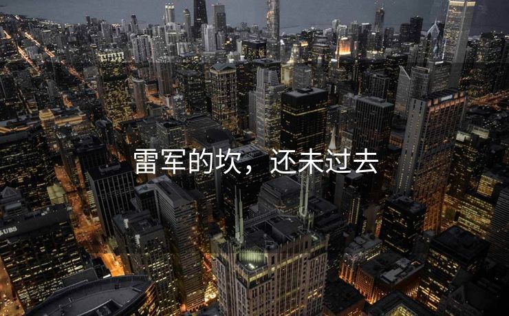 雷军的坎，还未过去